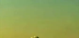 Trabzon'da İnsansız Deniz Aracı Kontrollü Şekilde İmha Edildi