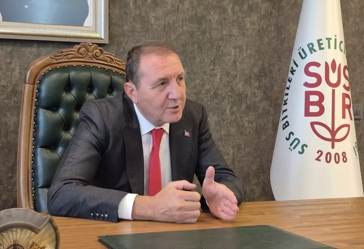 Süs Bitkileri İhracatı 40-50 Milyon Dolar Artacak