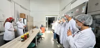 Öğrenciler Çubuk Turşu Atölyesi’nde Üretim Sürecini İnceledi