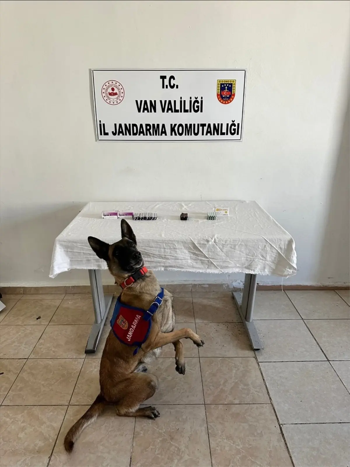 Van'da Yol Kontrolünde 380 Sentetik Hap Ele Geçirildi