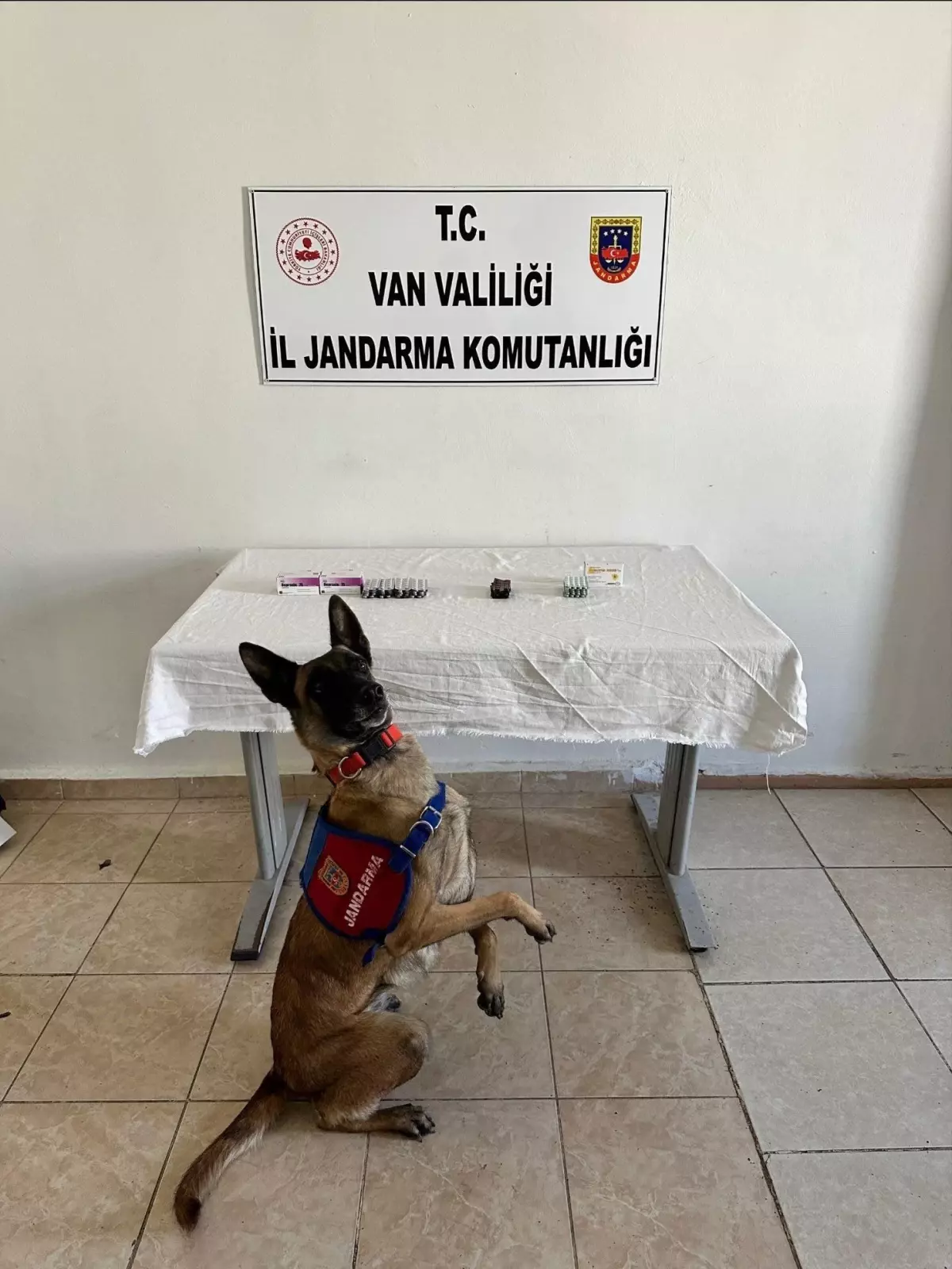 Van'da Jandarma Yol Kontrolünde 380 Sentetik Hap Ele Geçirildi