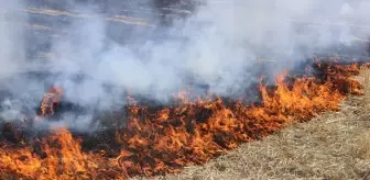 Amasya'da çıkan anız yangını söndürüldü