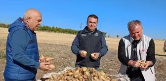 Beyşehir'de Patates Hasadı Başladı