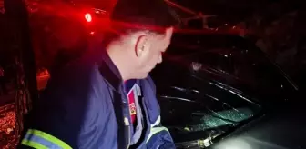 Bilecik'te Otomobilin Ağaçla Çarpması Sonucu 2 Yaralı