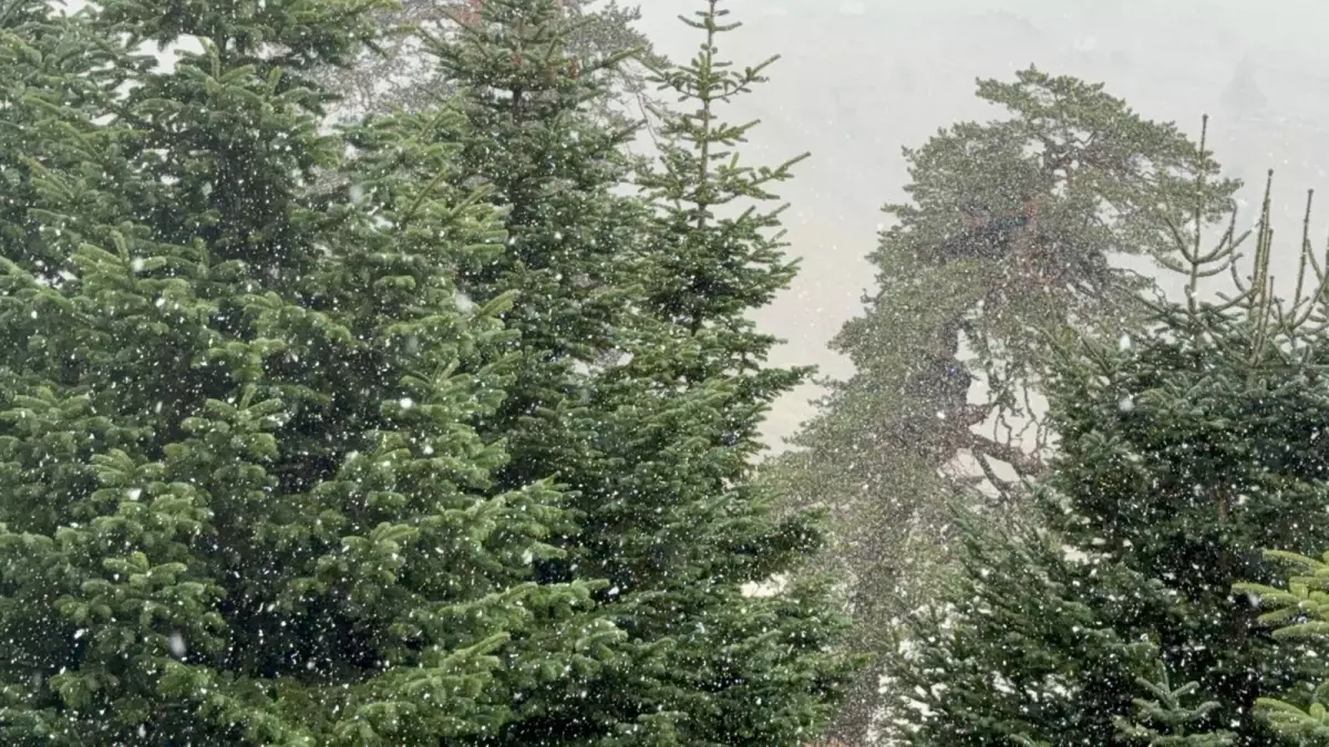 Bolu'da Yüksek Kesimlere Kar Yağdı