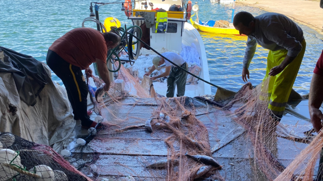 'They said it wouldn't happen this year, good news came from the Black Sea'