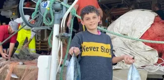 'Bu yıl olmaz' diyorlardı, Karadeniz'den müjde geldi