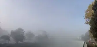 Samsun'un Terme İlçesinde Yoğun Sis Etkili Oldu