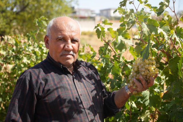 It became an example for producers! The alternative product revived the father and son