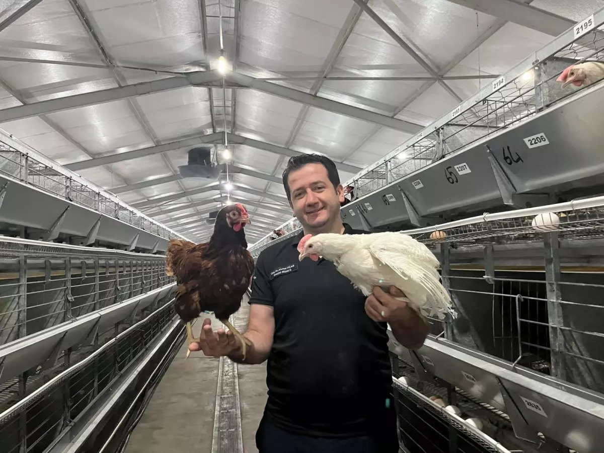 Yerli Yumurtacı Hibrit Civcivler İçin Yapay Zeka Dönemi Başlıyor