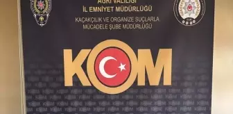 Ağrı'da Sahte Dolar ve Sikke Ele Geçirildi