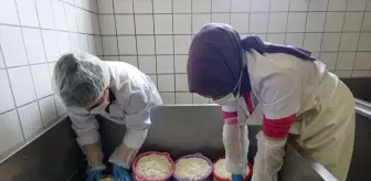 Sındırgı'da Kadın Kooperatifinden Butik Mandıra Tesisi