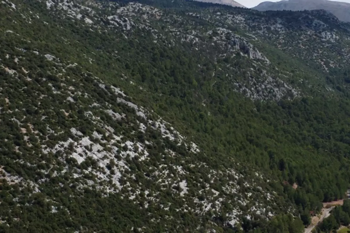 Sıcağıyla meşhur ilimize mevsimin ilk karı düştü