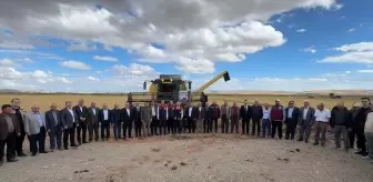 Kızılırmak'ta Çeltik Hasadı Törenle Başladı