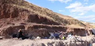 Çankırı'da 9 Milyon Yıllık Zürafa Kafatası Fosili Bulundu