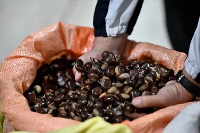 Sold for 400 lira per kilogram! Everyone is after this flavor