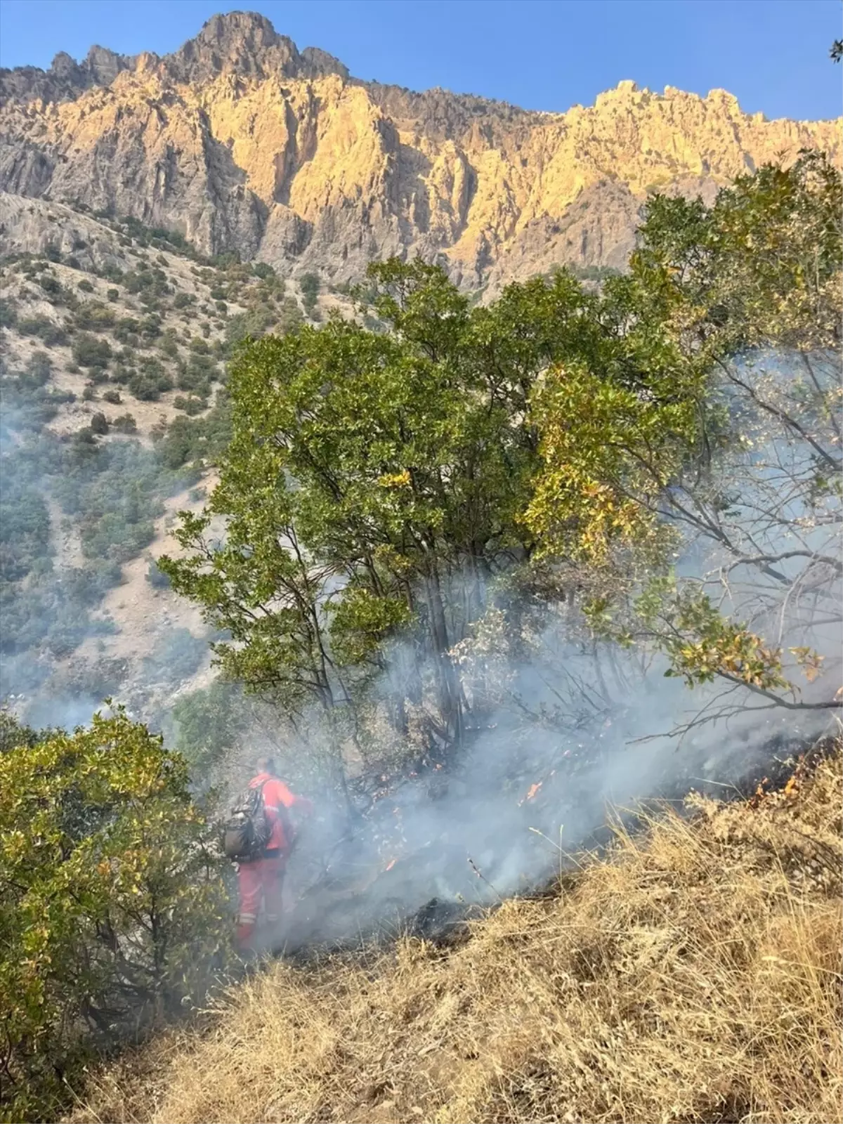 Hakkari'de Kırsal Alanda Yangın Kontrol Altına Alındı