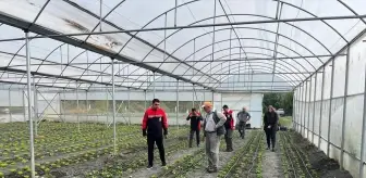 Çorum'da Tarımsal Üretim İncelemesi