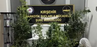 Kırşehir'de Kaçakçılık ve Narkotik Operasyonları Düzenlendi