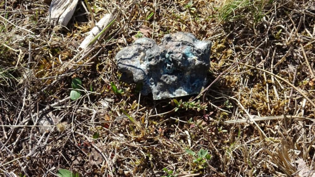 Found a meteorite while collecting mushrooms