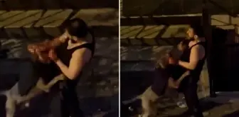 Pitbull cinsi köpek sahibini ısırdı, adamın yardım çığlıkları sokağı inletti