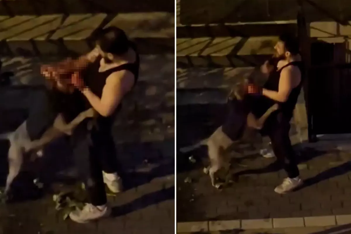 Pitbull cinsi köpek sahibini ısırdı, adamın yardım çığlıkları sokağı inletti