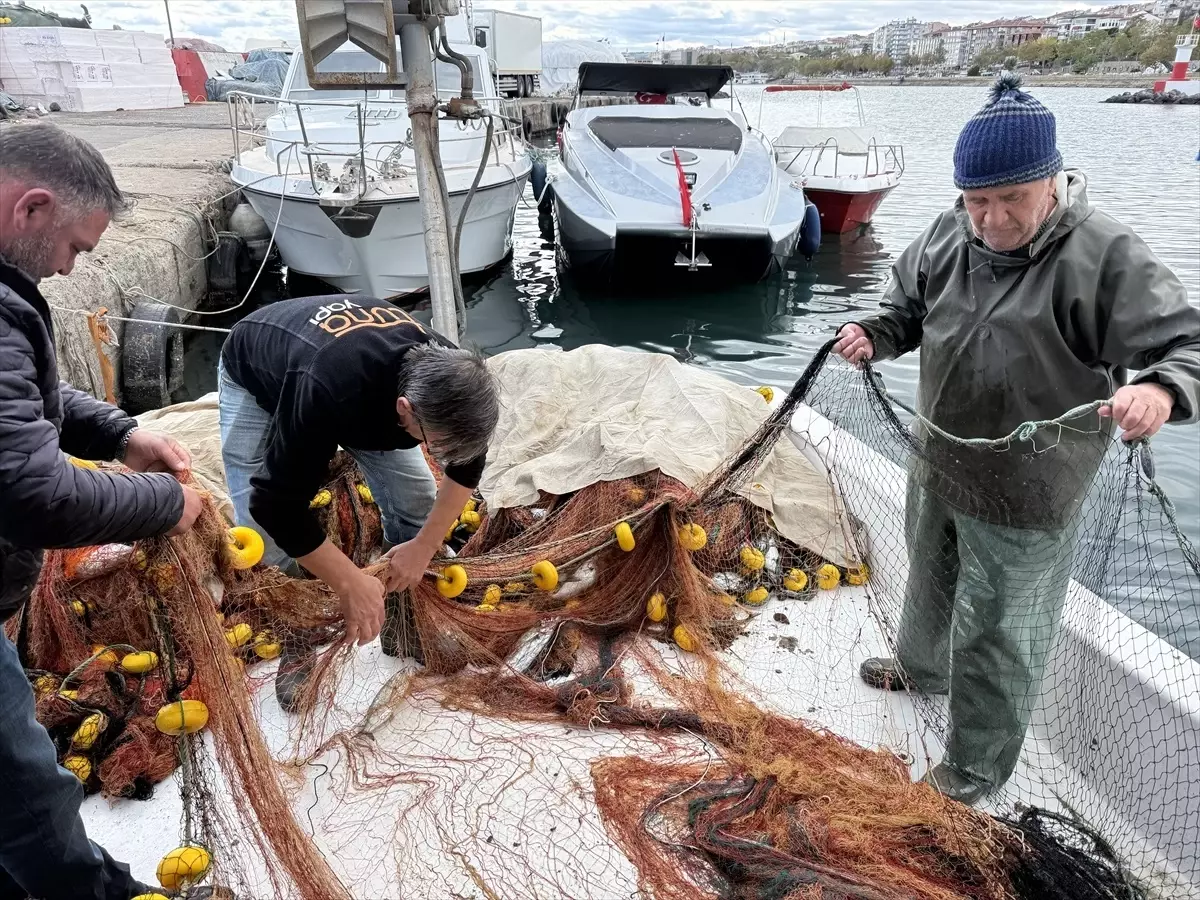 Tekirdağ'da Lüfer Sezonu Başladı