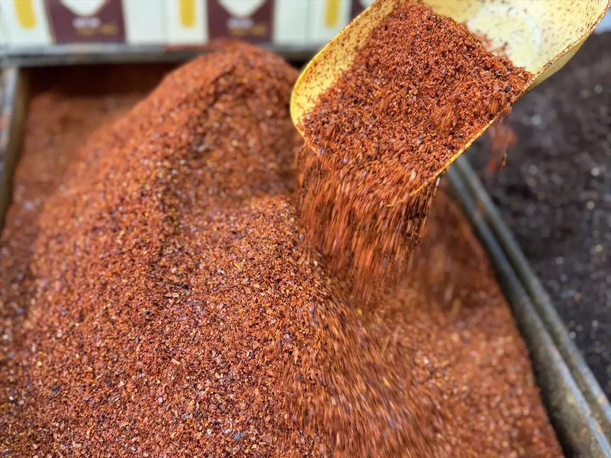 Türkiye'nin Pul Biber İhracatı Yüzde 4 Arttı