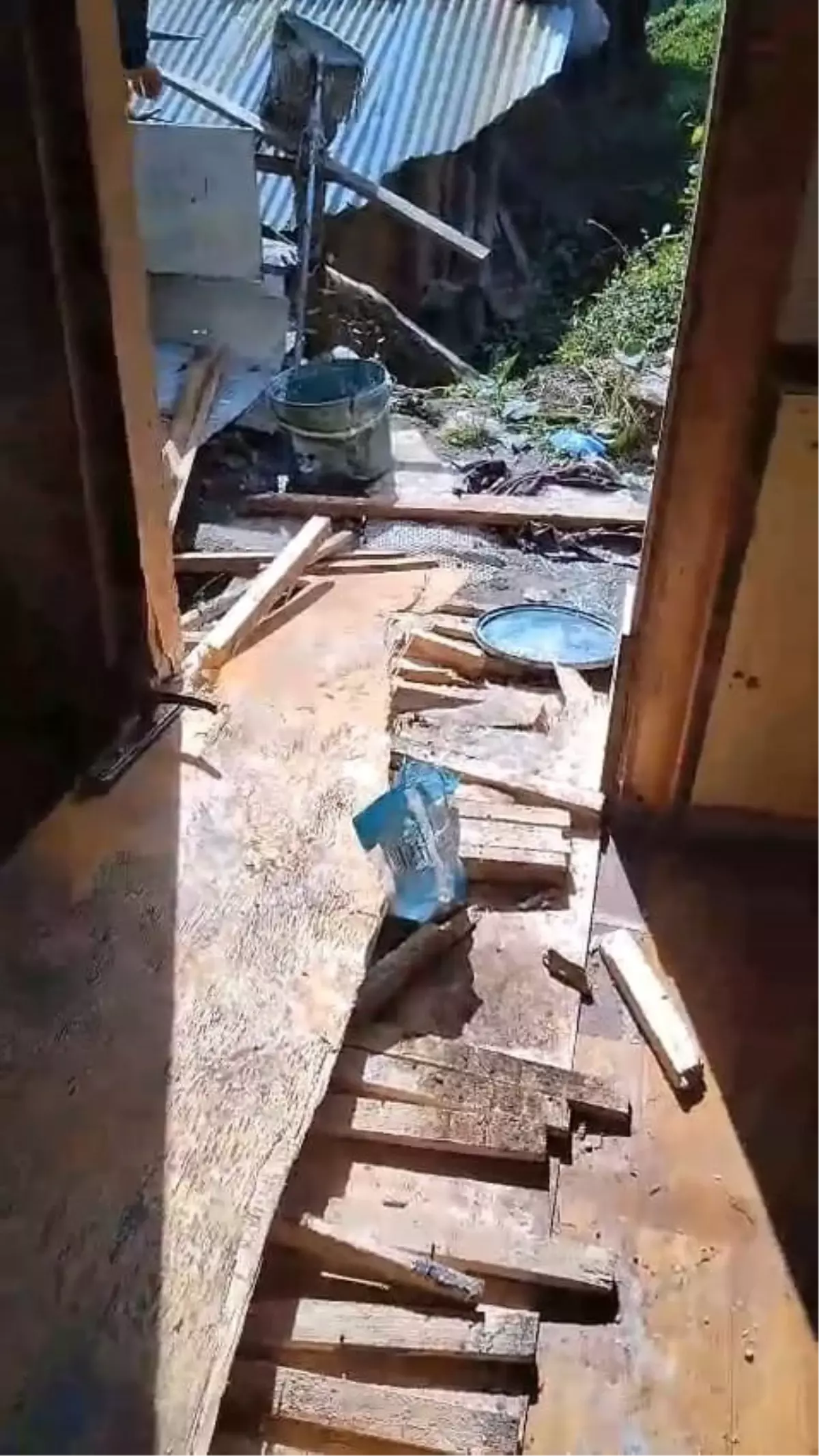 Ayılar Rize'de 8 Evi Ziyaret Etti
