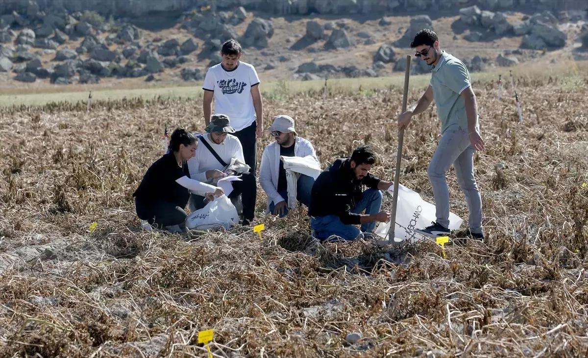 Ece Özdoğan'dan Sürdürülebilir Tarım İçin Yenilikçi Tez