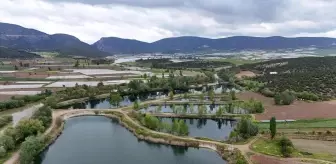 Beşgöller, Mahalli Öneme Haiz Sulak Alan İlan Edildi