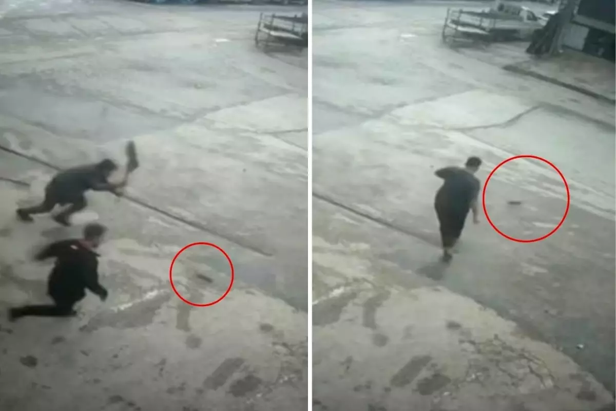 Dükkana giren fare esnafı çileden çıkardı! Hem güldüler hem kovmaya çalıştılar
