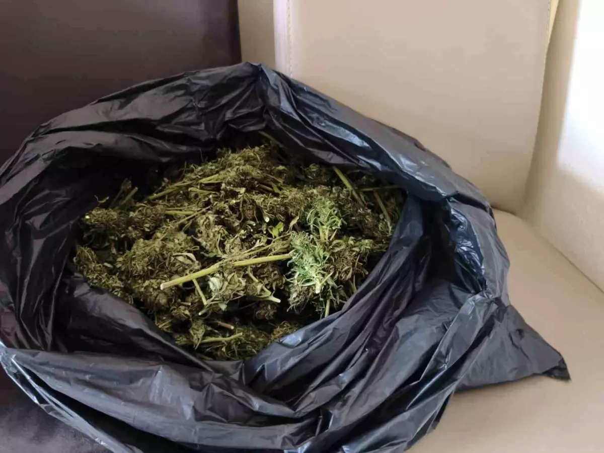 İnegöl'de Jandarma Uyuşturucu Operasyonu: 2 Kilogram Esrar Ele Geçirildi