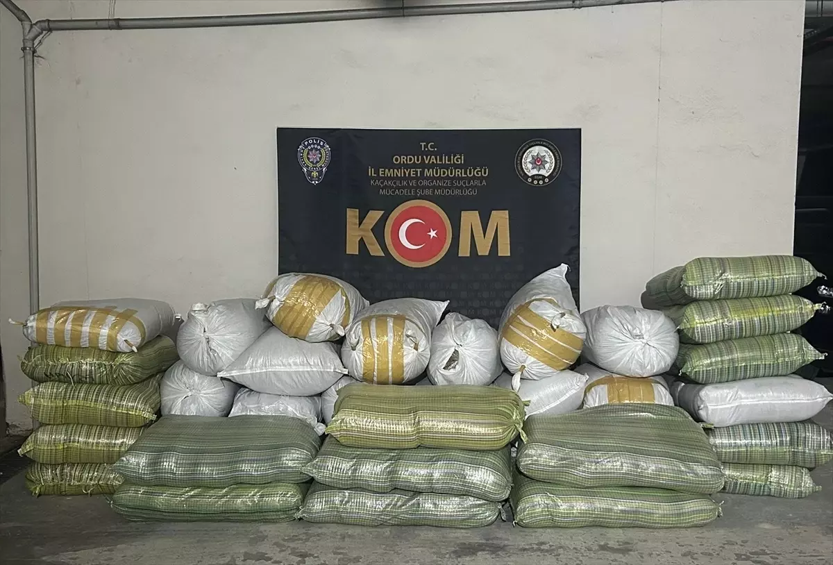 Ordu'da Kaçakçılık Operasyonu: 1 Ton 215 Kilogram Tütün Ele Geçirildi