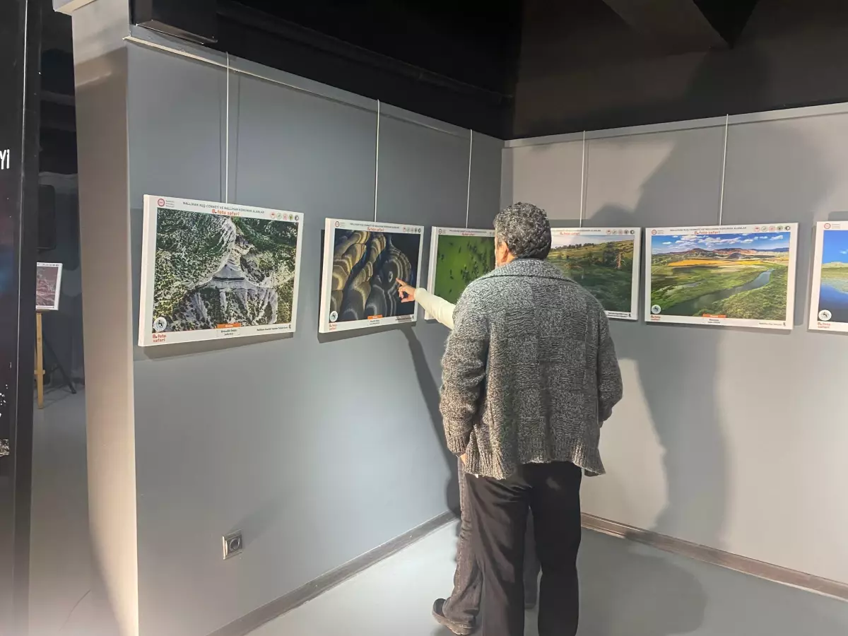 Nallıhan Kuş Cenneti'nde Foto Safari Sergisi Açıldı