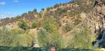 Isparta'da Bataklığa Saplanan Büyükbaş Hayvan Kurtarıldı