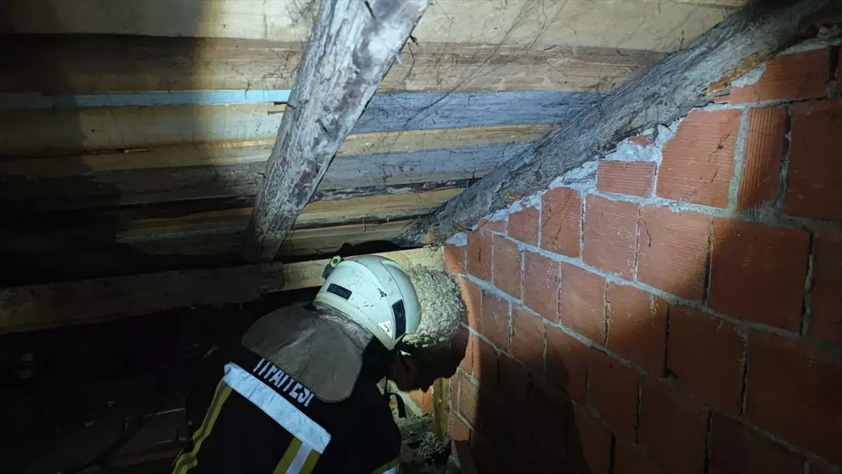Safranbolu'da İtfaiye Yaban Arısı Yuvasını Çıkardı