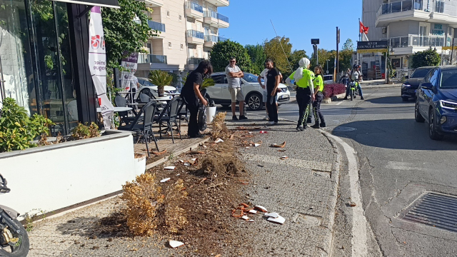 Hit and run, arrested for 'insulting the President'