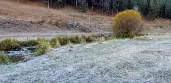 Kars'ın Sarıkamış İlçesinde Kırağı Güzelliği