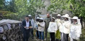 Giresun'dan Van'a Gelen Turistler, Arıcılık Deneyimi Yaşadı
