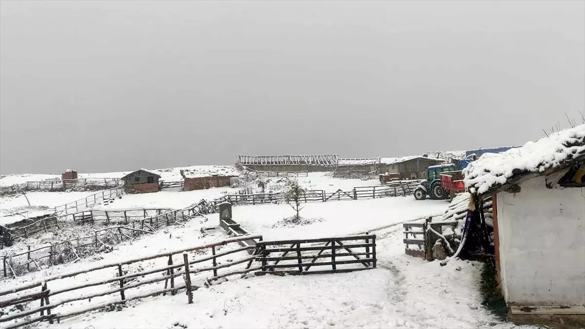 Amasya'nın Yüksek Kesimlerinde Erken Kar Yağışı