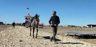 16. Manavgat Side Geleneksel Rahvan At Yarışları Gerçekleşti