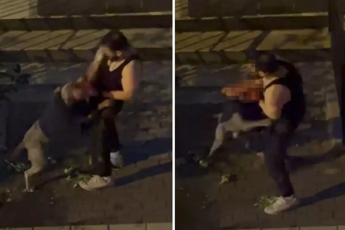 Pitbull cinsi köpek sahibine saldırdı! O anlar kamerada