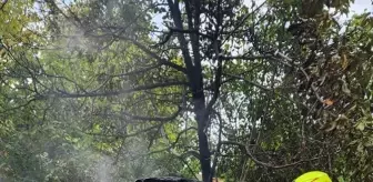 Edremit'te Park Halindeki Minibüste Yangın Çıktı