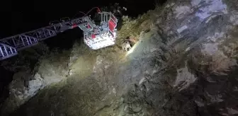 Uçurumda Mahsur Kalan Köpek İtfaiye Ekiplerince Kurtarıldı