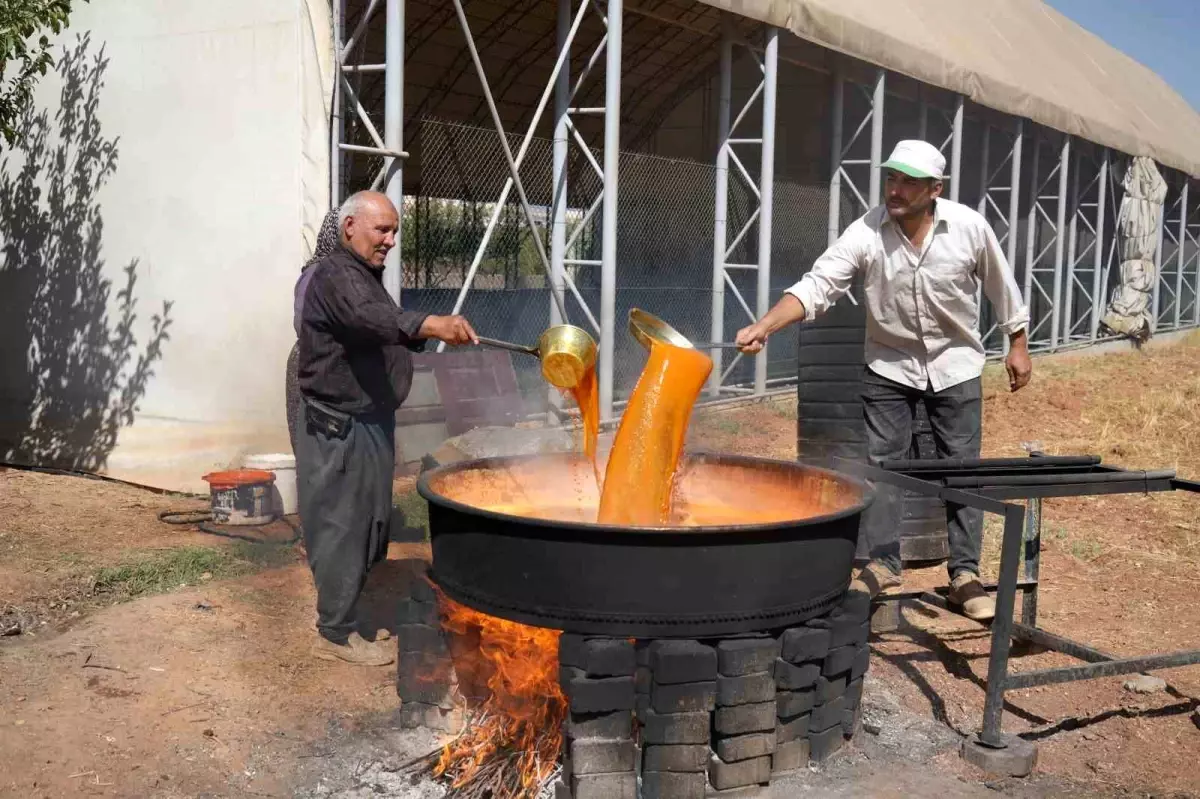 Gaziantep'in Geleneksel Pekmezi