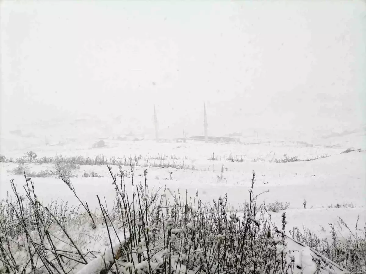 Gümüşhane Yaylalarında Kar Yağışı