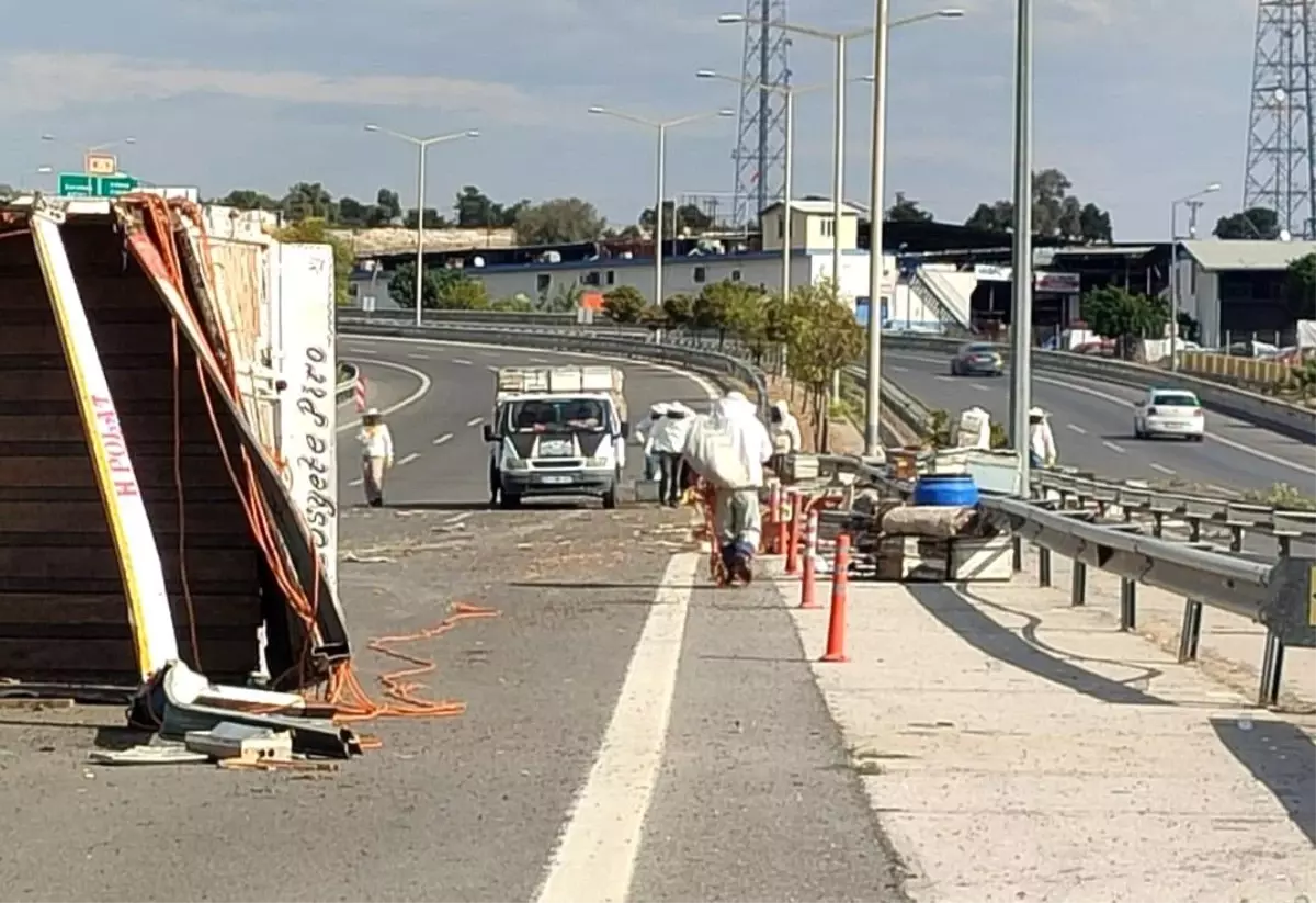 Mersin'de Arı Yüklü Kamyon Devrildi, 3 Yaralı