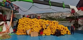 Karadeniz'de Şiddetli Rüzgar ve Fırtına Balıkçıları Limana Sığınmaya Zorluyor