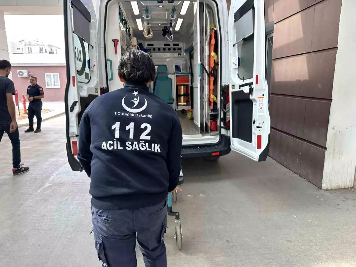 Adıyaman'da Zeytin Toplarken Düşen Adam Yaralandı